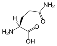 L-glutamine នៅក្នុង Keto Diet